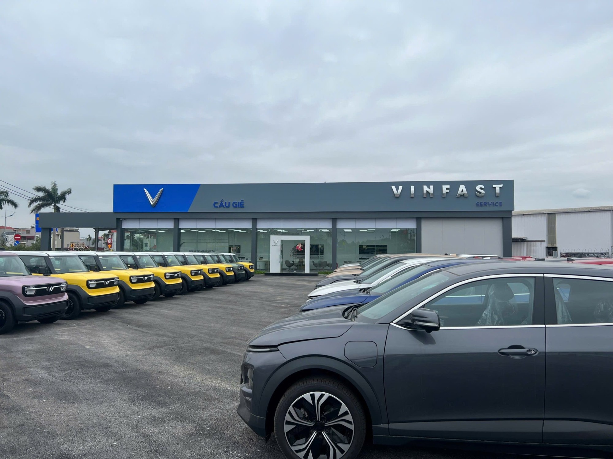 VinFast Cầu Rẽ | Xe Điện VinFast, XDVDịch Vụ 3s